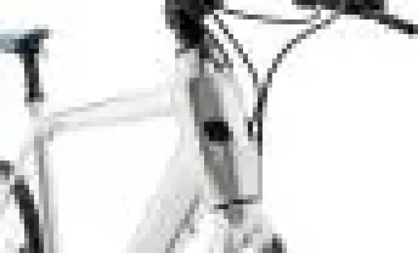 WATT E-Bike BROOKLYN Riemenantrieb RH59cm Brooks